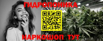 гашик Кунгур