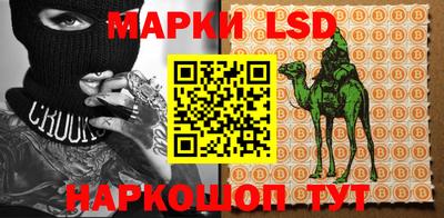 apvp Краснодар