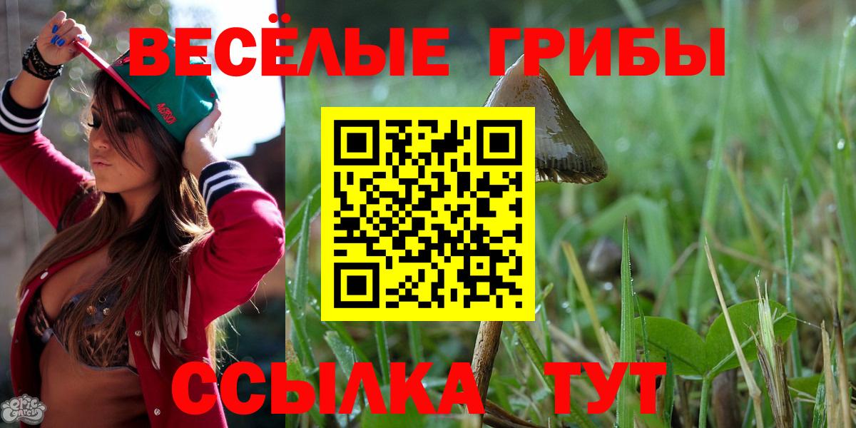 Калуга  Галлюциногенные грибы Psilocybine cubensis  Вход с VPN 